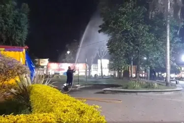 Los bomberos de Villamaría practicaron el martes por la noche una brigada para ahuyentar las garzas del Parque de Bolívar. 