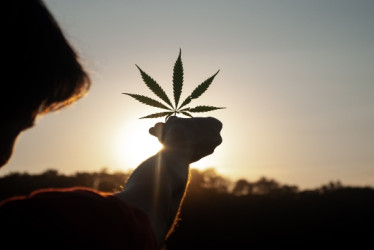 Persona sostiene una hoja de cannabis con el atardecer en el fondo.