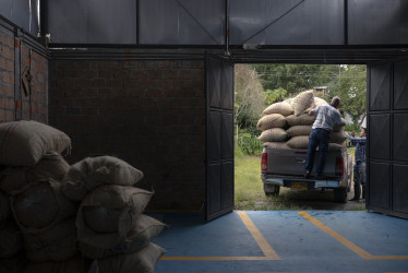 La producción de café en Colombia cayó 5,8%.