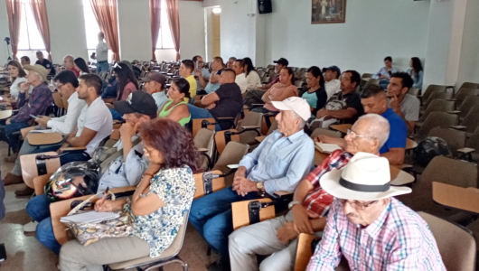 Juntas de acción comunal de Palestina, preocupadas por Aerocafé