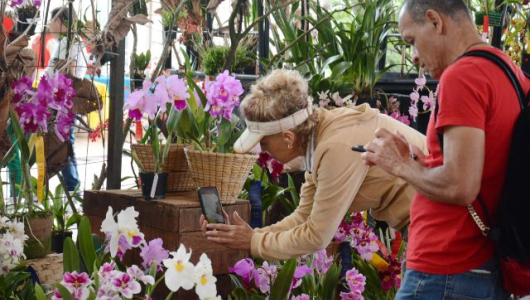 La Exposición de Orquídeas se lució igual en el ecoparque Los Yarumos de Manizales