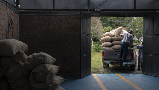 Colombia produjo 202 mil sacos de café menos entre enero y abril del 2023