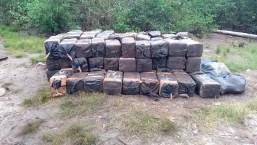 Operación internacional contra el Eln deja 21 detenidos y 700 kilos de cocaína incautados