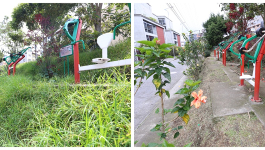 Podan maleza en el parque del barrio Sáenz de Manizales