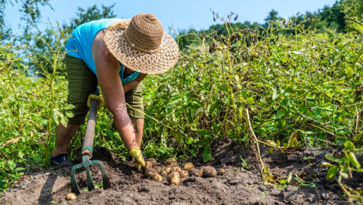 Sector agropecuario y Gobierno nacional: divididos por la economía de abril