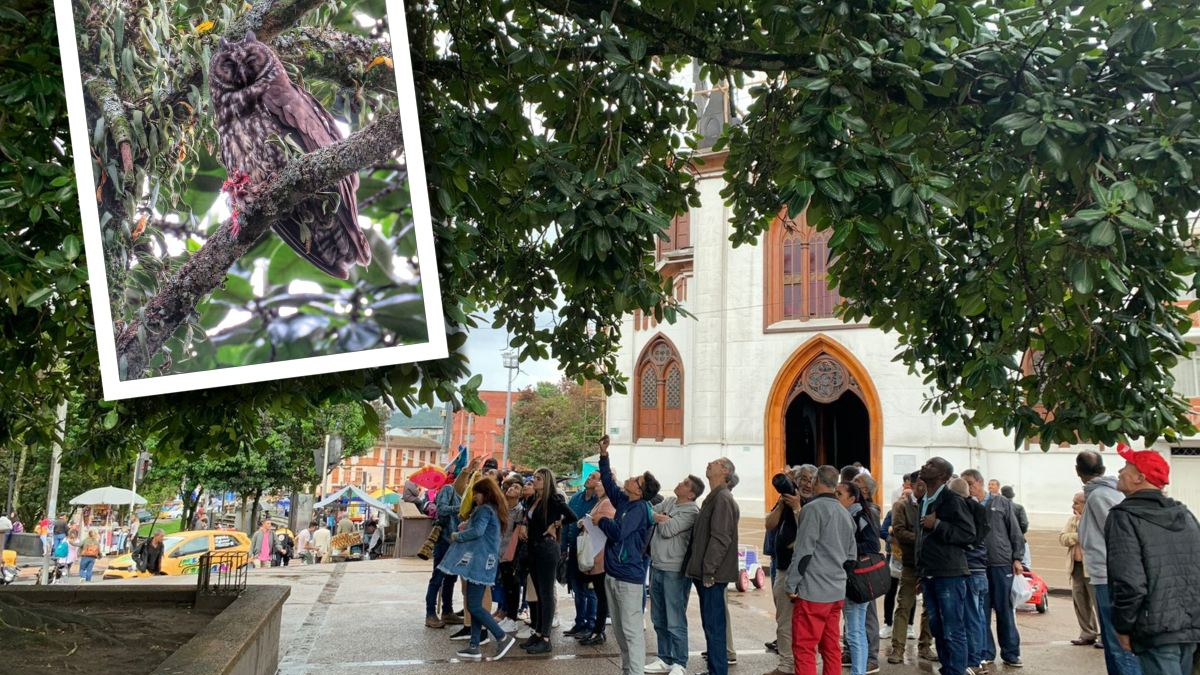 Encantados con búho orejudo en el Parque Caldas