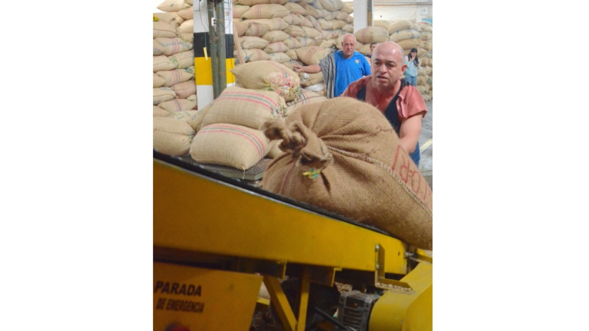 Los cafeteros de Colombia esperan anuncios concretos del actual Gobierno nacional, ante los altos costos de los insumos, la baja fertilización y otra regular cosecha para el 2023.