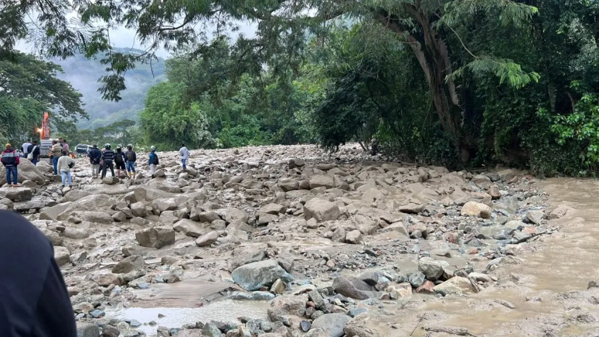 El derrumbe se dio en el tramo de la vía entre La Felisa (corregimiento de La Merced) y La Pintada (Antioquia).
