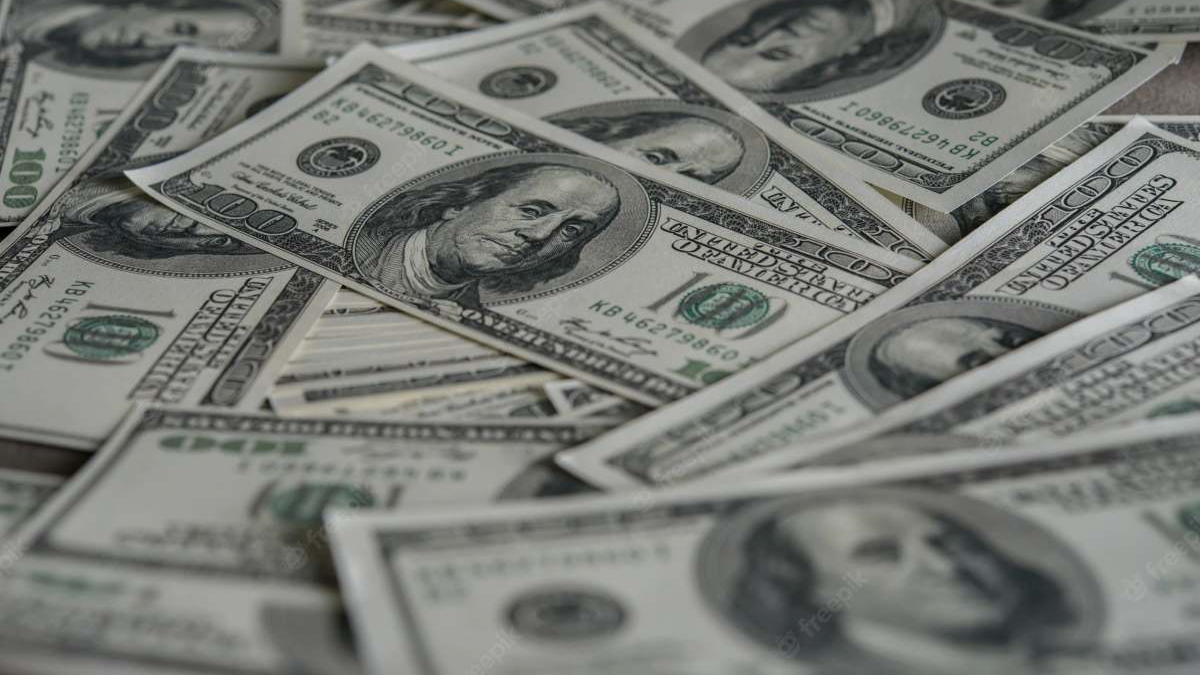Foto | Freepick | La Patria  El dolar.