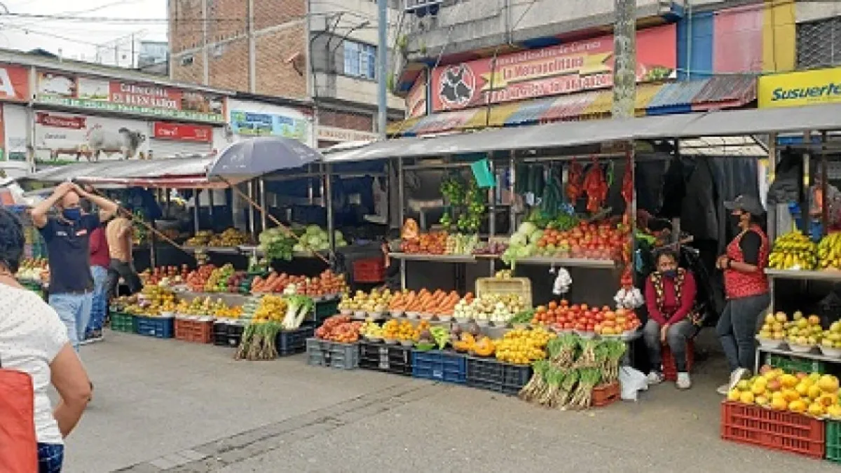 El comportamiento anual se explicó principalmente por la variación de las divisiones alimentos y bebidas no alcohólicas y alojamiento, agua, electricidad, gas y otros combustibles. 