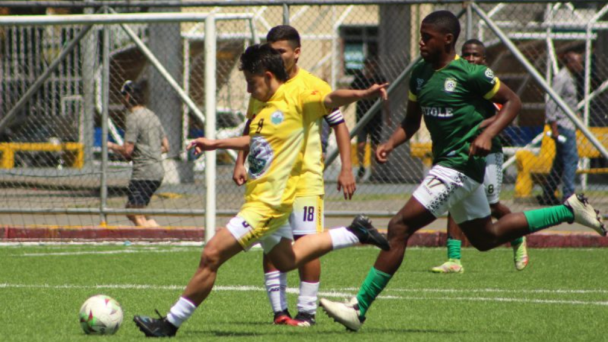 Fútbol caldense
