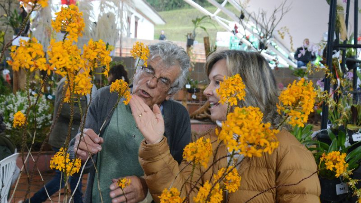 En la imagen se ve a David Manzur, miembro de la Asociación Quindiana de Orquideología y Claudia Uribe, jueza de la Sociedad Colombiana de Orquideología con la orquídea ganadora de la edición 17 de la Exposición Nacional: Epidendrum Mellinanthum. 
