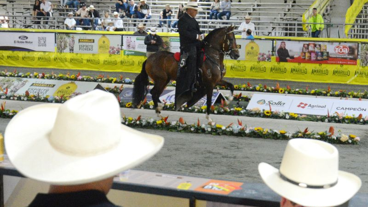 Prometido de la Ceiba fue el ganador de la categoría de Caballos de 48 a 60 meses. 