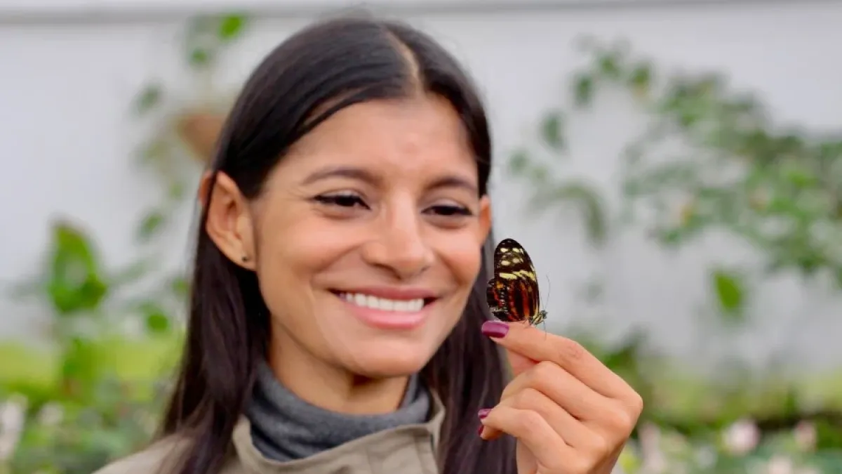 La bióloga Viviana Franco sostiene la mariposa tigre de alas largas