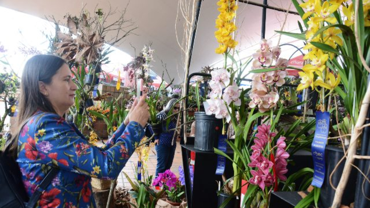 Visitantes de la exposición caminan fascinados tomándoles fotos a las orquídeas que están expuestas.