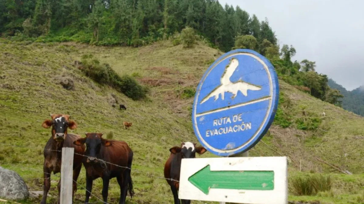 Sector ganadero, cerca del Nevado del Ruiz