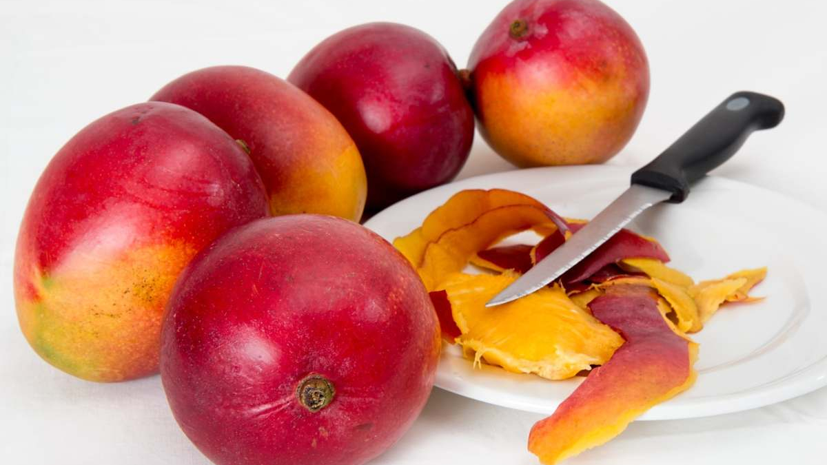 Foto / Pixabay / LA PATRIA  El mango bajó de precio, antes un kilo costaba $10 mil, ahora está en $4 mil. 