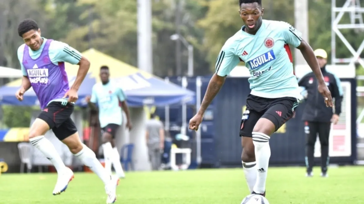 Ciclo de preparación de la Selección Colombia Sub-20 para la Copa Mundial de la FIFA que se disputará en Argentina. 