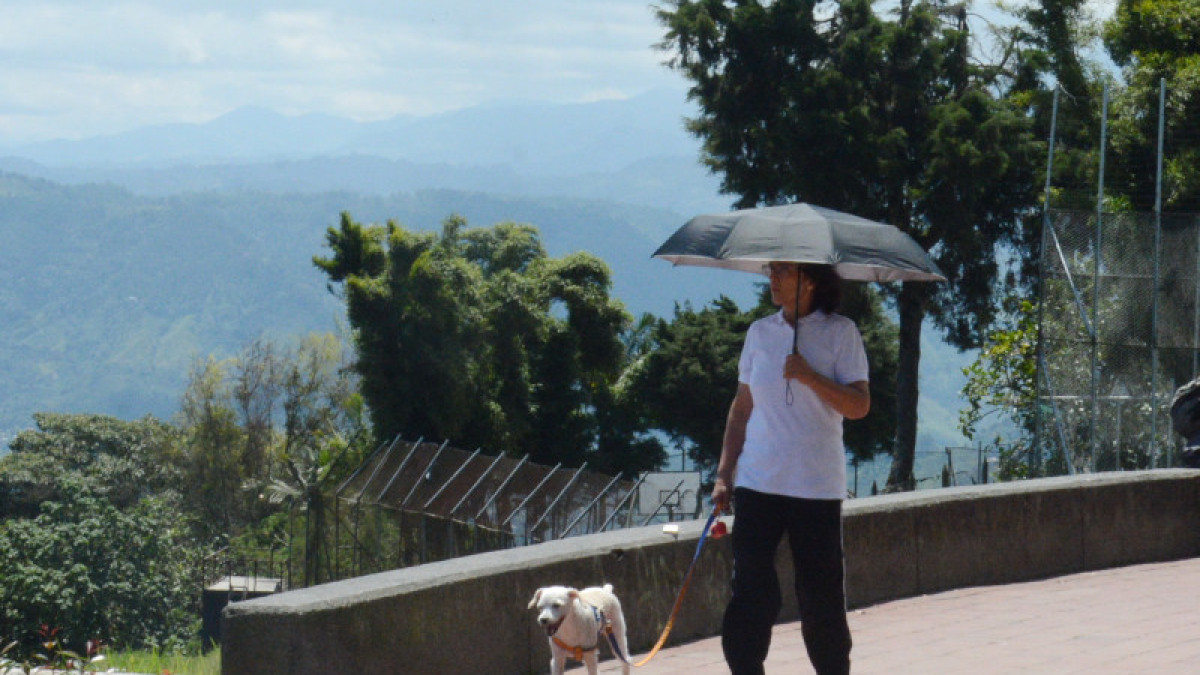 El uso de una sombrilla podría protegerlo en esas salidas inevitables con el perro. Evite caminatas extensas.