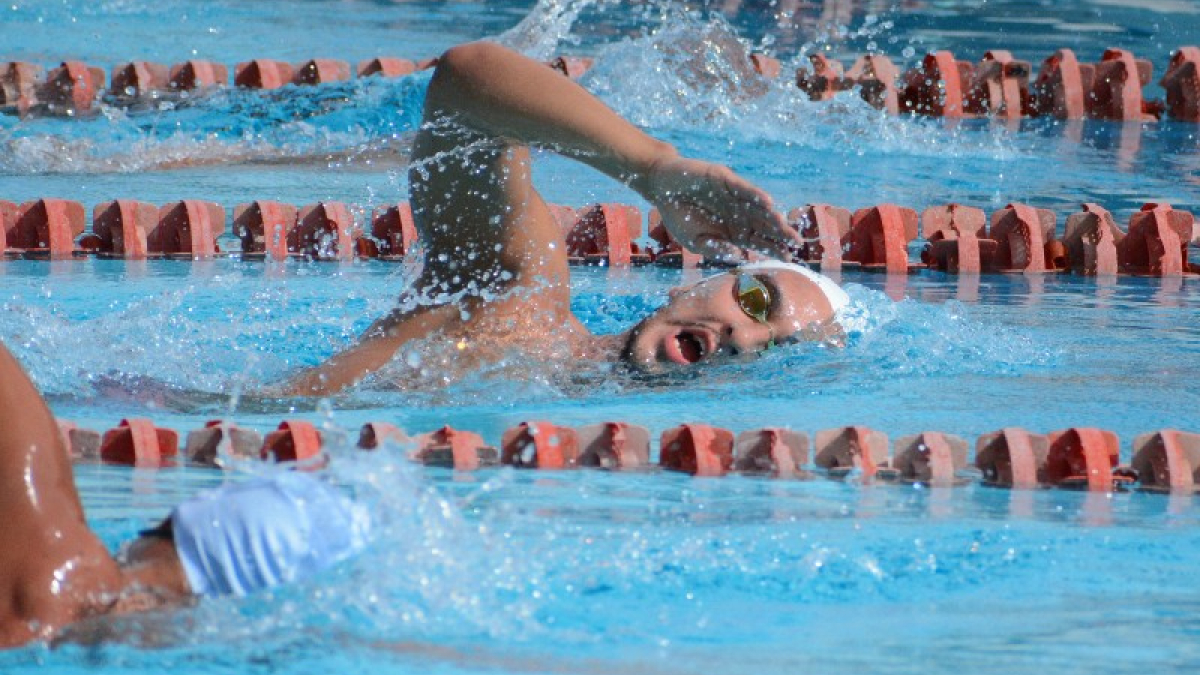 Natación caldense