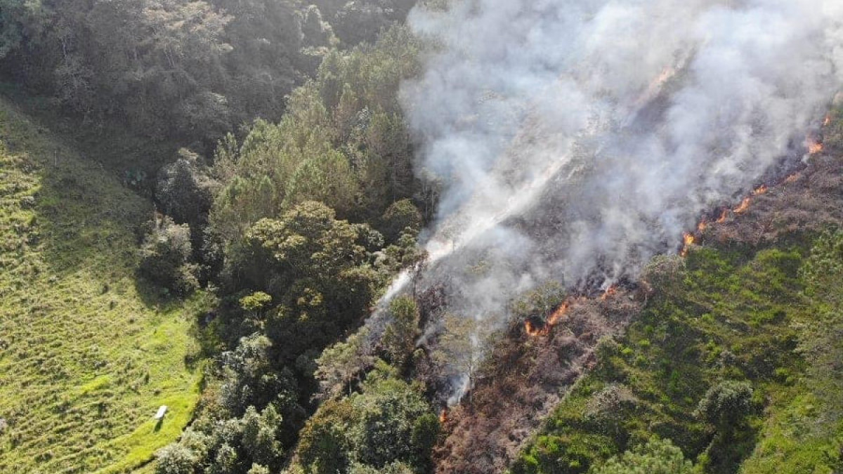 El miércoles los organismos de socorro de Pensilvania con apoyo de Defensa Civil y Cruz Roja controlaron un incendio de cobertura vegetal, en zona rural del sector la Arenera, en dónde el fuego amenazaba con consumir la franja natural de una fuente hídrica.