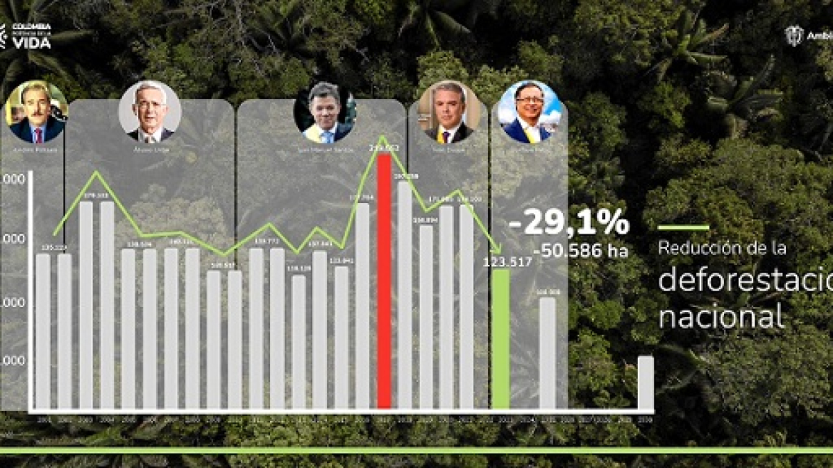 Fenómeno de El Niño, otra causa de la deforestación