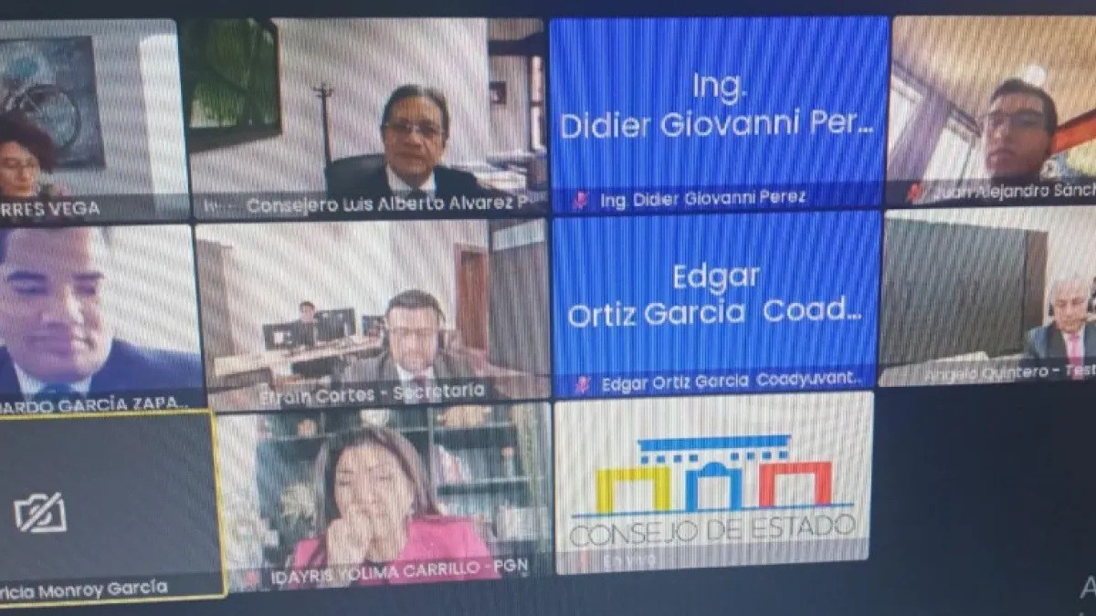 Ángelo Quintero (derecha abajo), durante su intervención en la audiencia virtual en el Consejo de Estado. Ahora labora como asesor de Parques Nacionales.