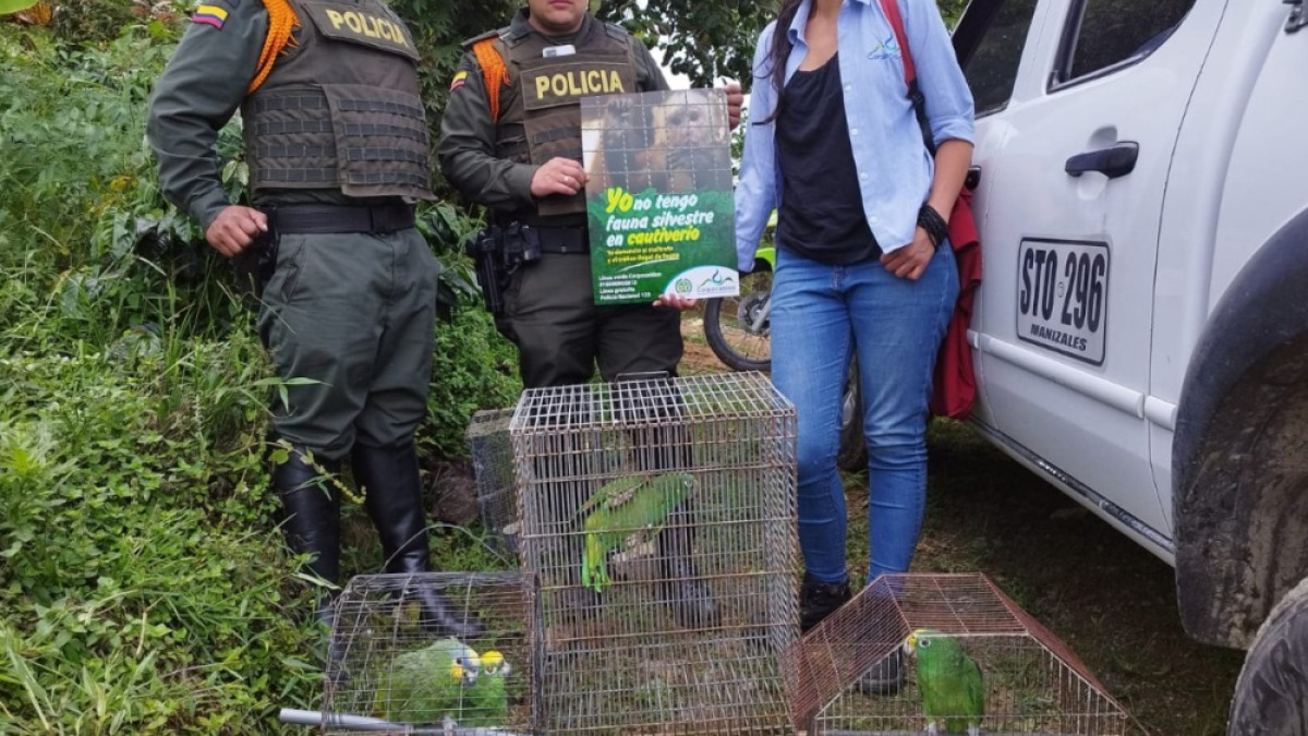 Se rescataron cinco loros y una ardilla.
