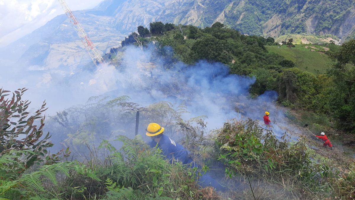 Unas tres hectáreas resultaron afectadas por el fuego. 