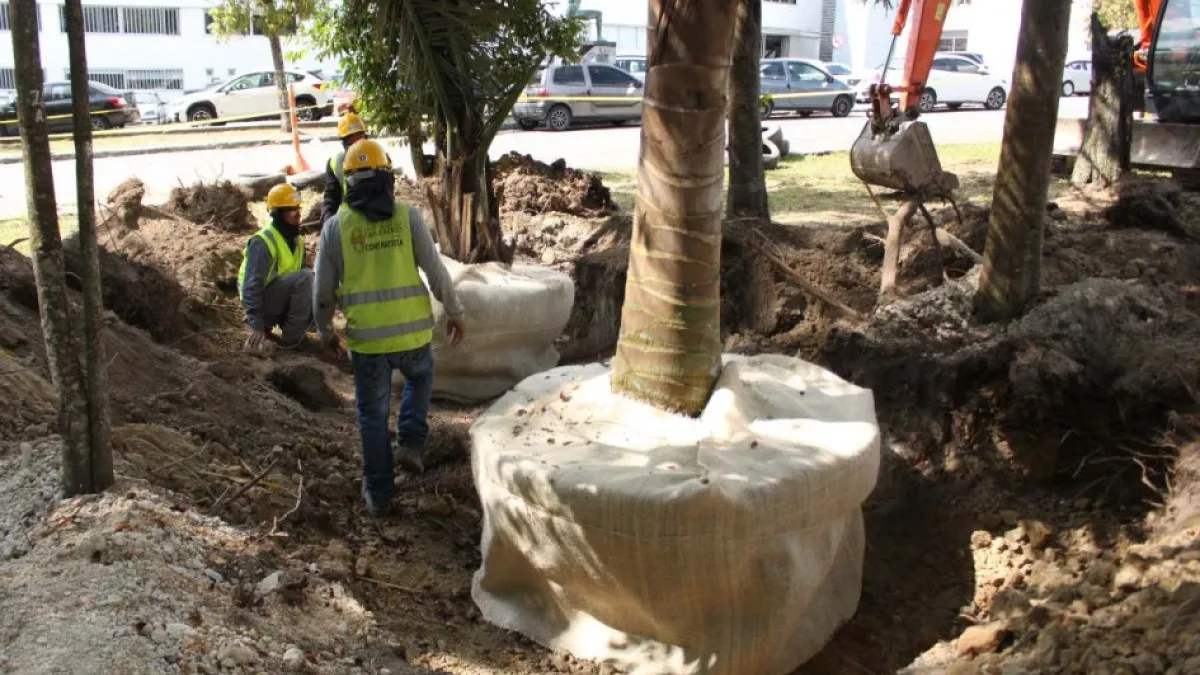 Fotos | Luis Trejos | LA PATRIA Así lucen las obras de la Línea Tres del Cable Aéreo en el Parque La Gotera.