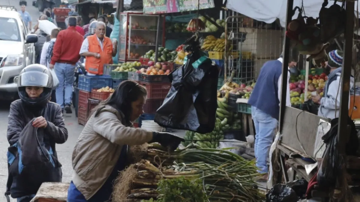 Galería de Manizales