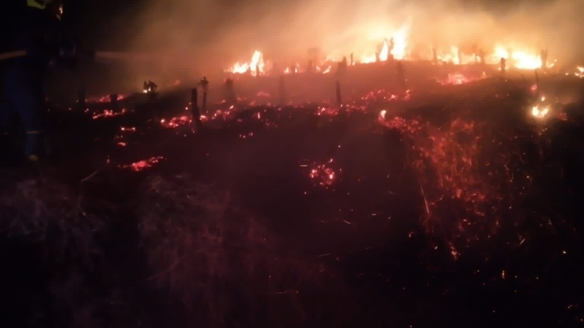 El incendio de cobertura vegetal en la vereda La Paz de San José (Caldas) afectó un cultivo de café. No dejó personas lesionadas.