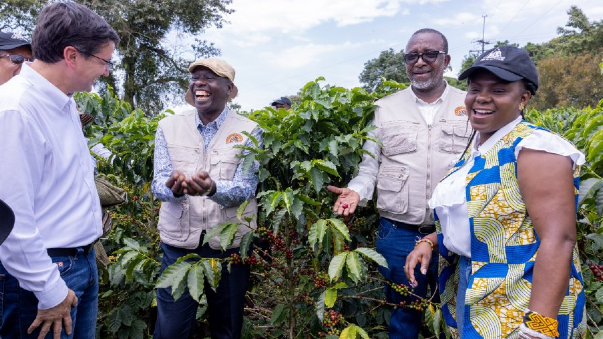 El vicepresidente de Kenia, Rigathi Gachagua, en su recorrido por Cenicafé, en Chinchiná, acompañado de su homóloga colombiana, Francia Márquez, y el presidente de la Federación Nacional de Cafeteros, Germán Bahamón.