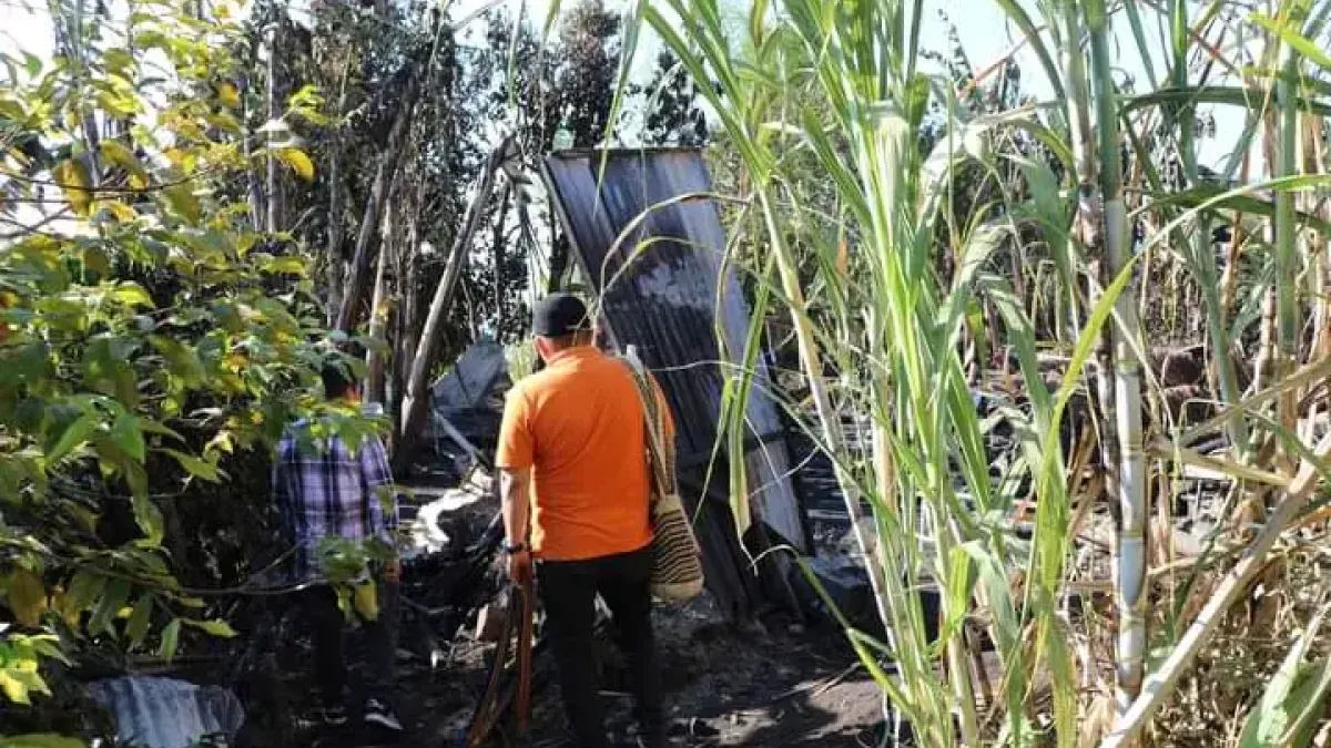 Esta es la zona en donde ocurrió el incendio.