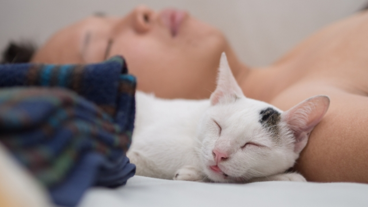 Un hombre y un gato durmiendo en la misma cama