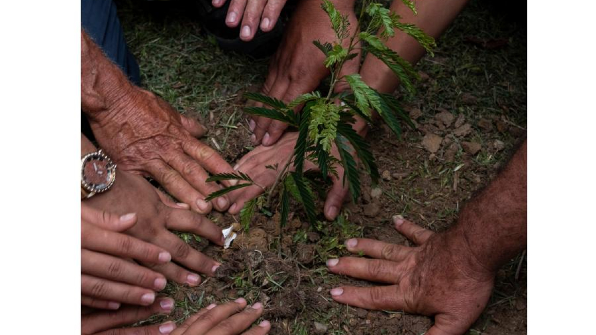 Ministra de Ambiente alerta de posible aumento de deforestación en Caquetá 