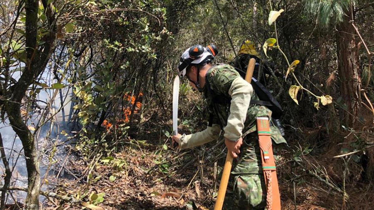 Un grupo de soldados trabaja en la extinción del incendio forestal activo en los Cerros Orientales de Bogotá. 
