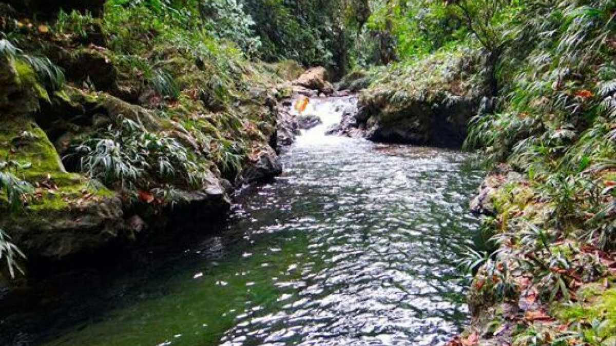 Fuente de agua