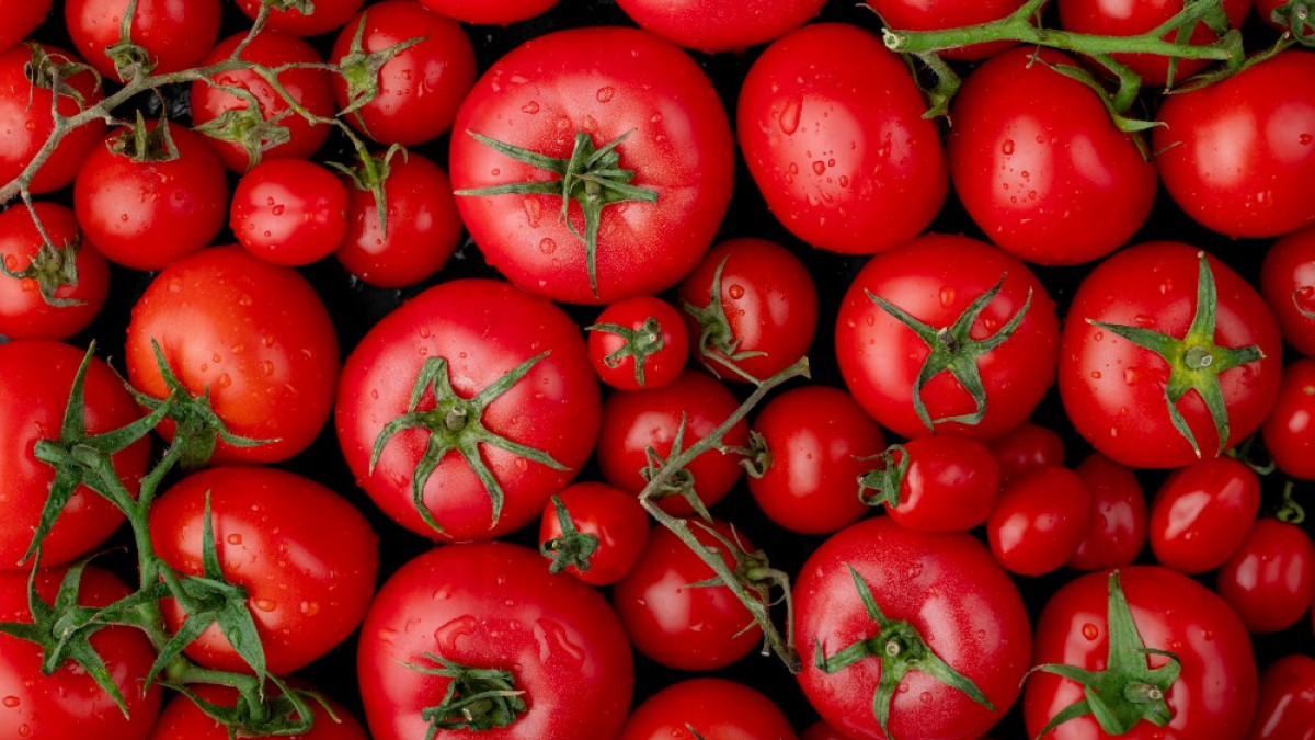 Las verduras mantienen susprecios estables en la Plaza de Mercado de Manizales, según comerciantes.