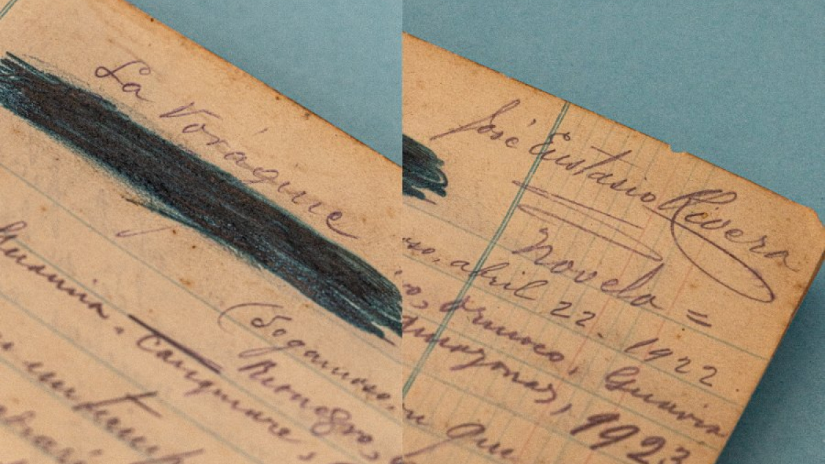 Libro de La Vorágine