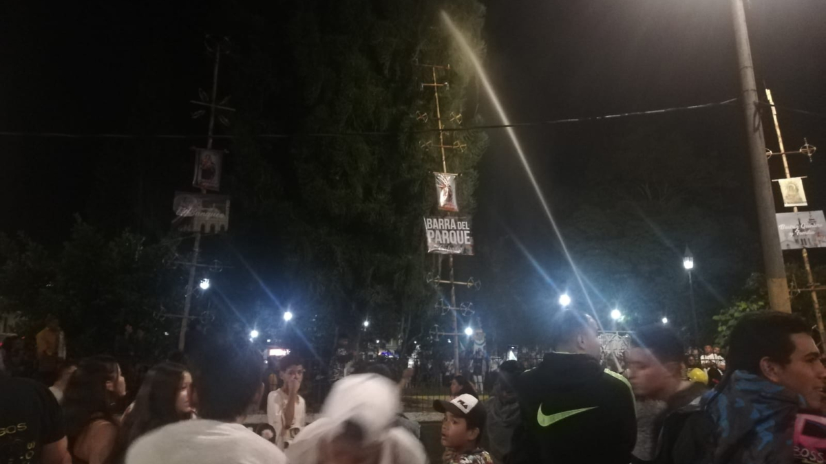 Labor de los organismos de socorro para sofocar las llamas en la araucaria.