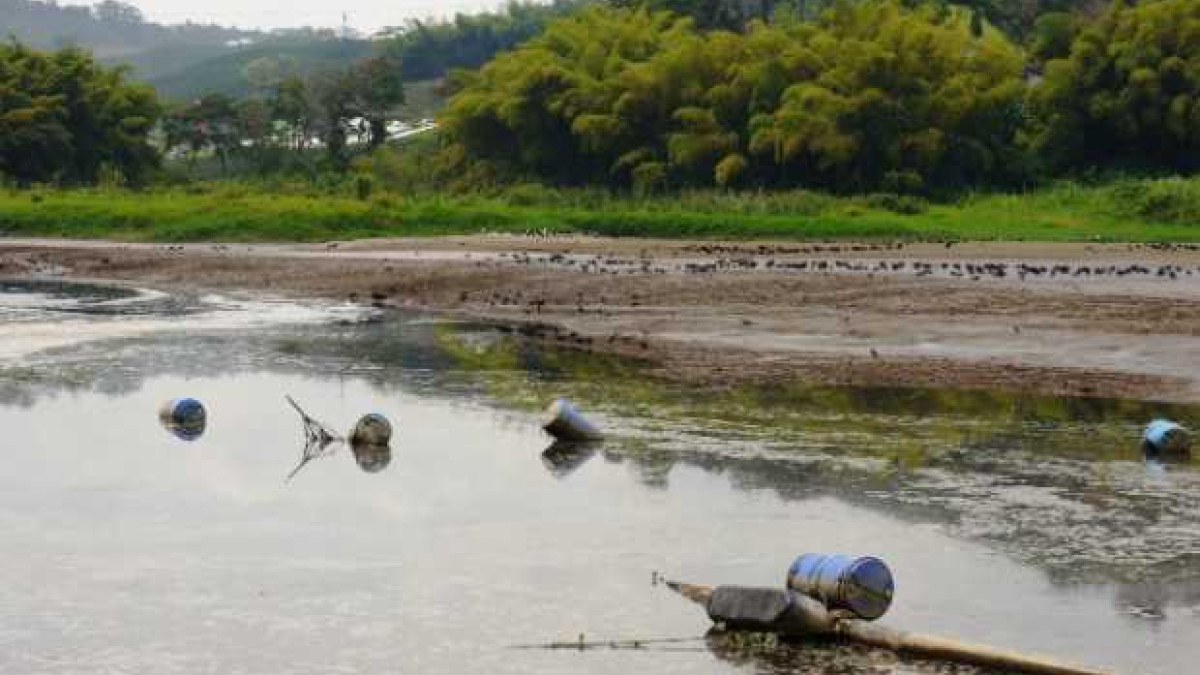  Así se ve el dragado en Lago Cameguadua.