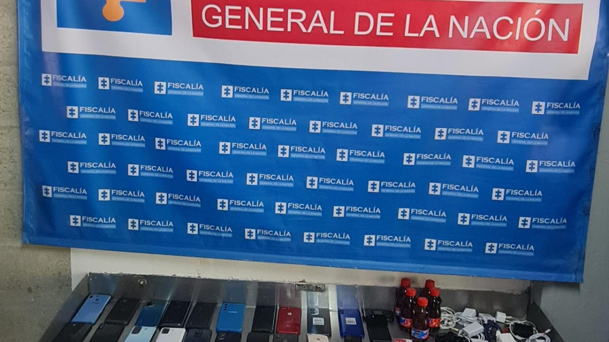 Lo decomisado ayer.