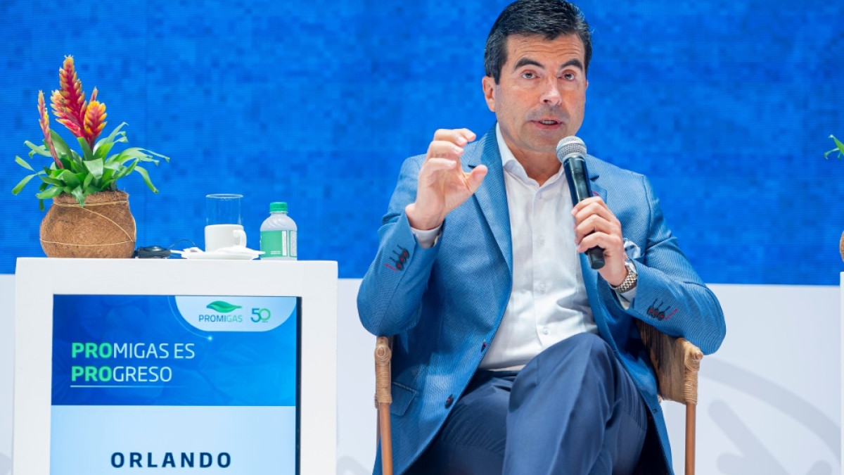 Orlando Velandia, presidente de la Agencia Nacional de Hidrocarburos (ANH), señaló los criterios para reactivar o desestimar los contratos suspendidos.