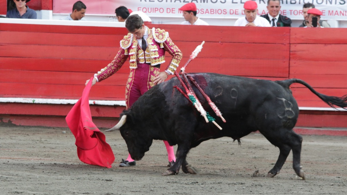 A partir de la 1:00 p.m. en la Cámara de Representantes. 