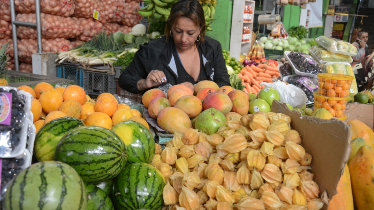 Arriendo, frutas frescas y comidas fuera del hogar, los sectores que mayor pesaron o impactaron la inflación en Manizales.