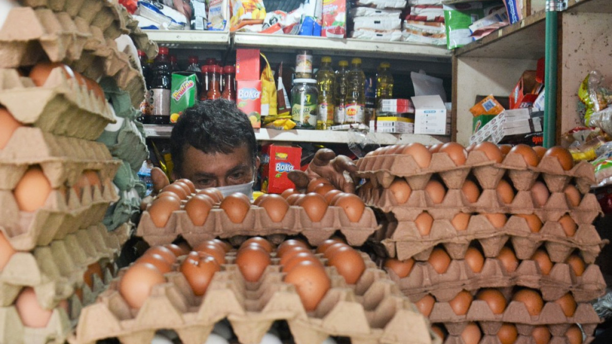 Huevos AAA, a precios triple B. Las disminuciones en los precios de las cubetas de huevo han aumentado la compra de este alimento en la Galería de Manizales. Vendedores del sector aseguran que los granos y el aceite también están económicos.