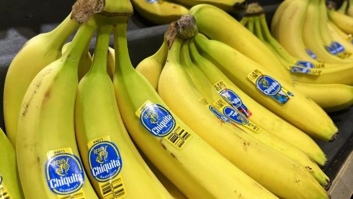 En la década de los 90, la multinacional Chiquita Brands les pagó a las Autodefensas Unidas de Colombia para "proteger" a sus empleados de la violencia en la zona bananera del Urabá. Este grupo paramilitar es el responsable de miles de muertes en el país.