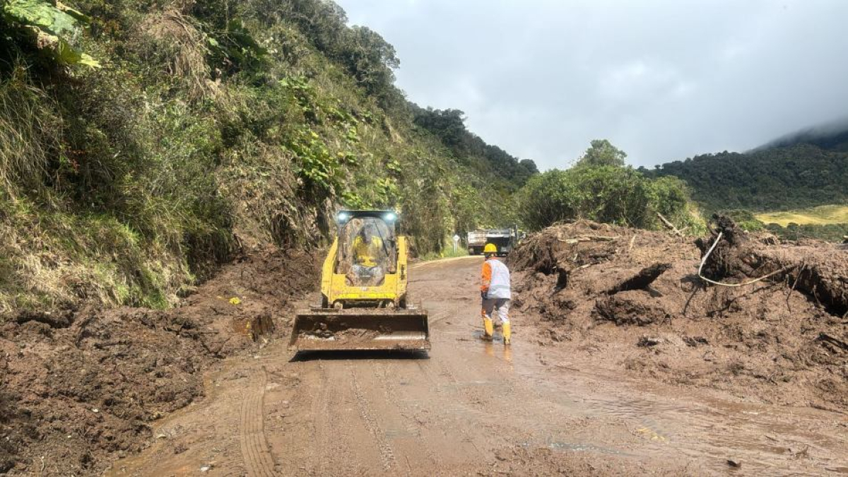 Manizales -Murillo 
