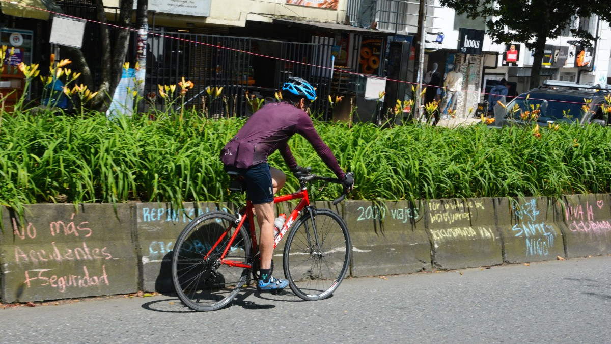Las zonas verdes de los separadores en la avenida Santander se reducirán con el proyecto de intervención de la ciclobanda. La Alcaldía de Manizales indica que los árboles no se tocarán.º